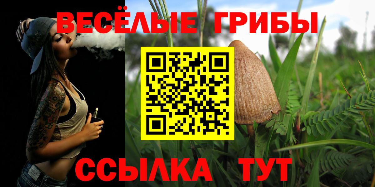 Псилоцибиновые грибы мицелий Ивантеевка