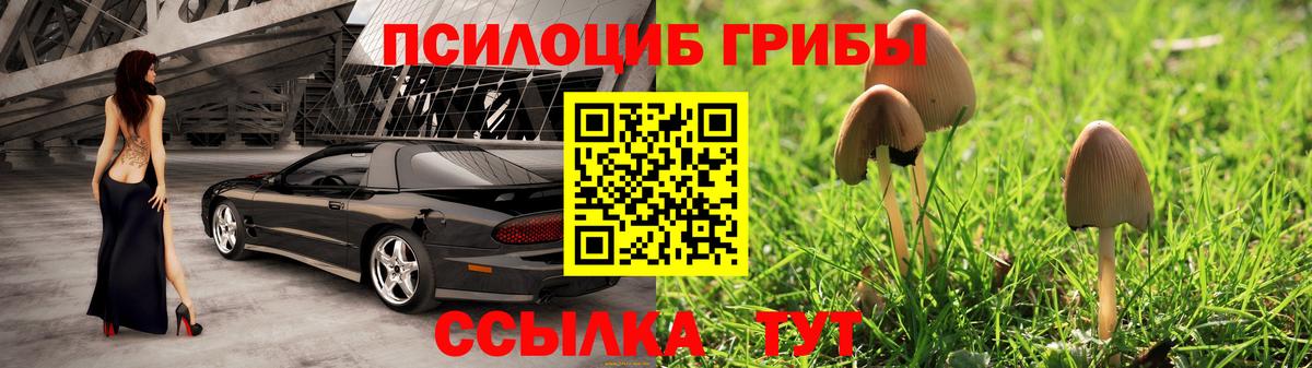 Псилоцибиновые грибы Psilocybe  Псилоцибиновые грибы прущие грибы  Ивантеевка  Вход с VPN 